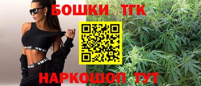 альфа пвп Заводоуковск