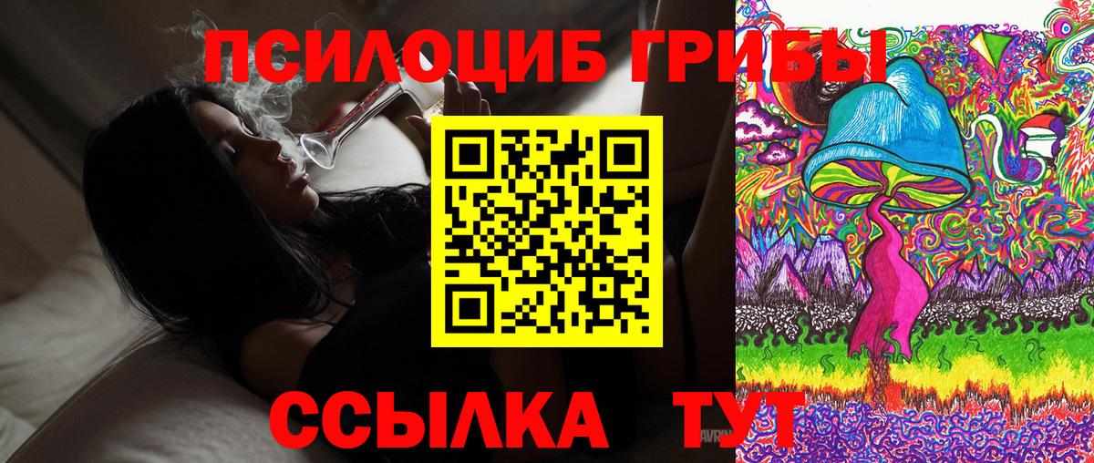 Галлюциногенные грибы Cubensis Лыткарино